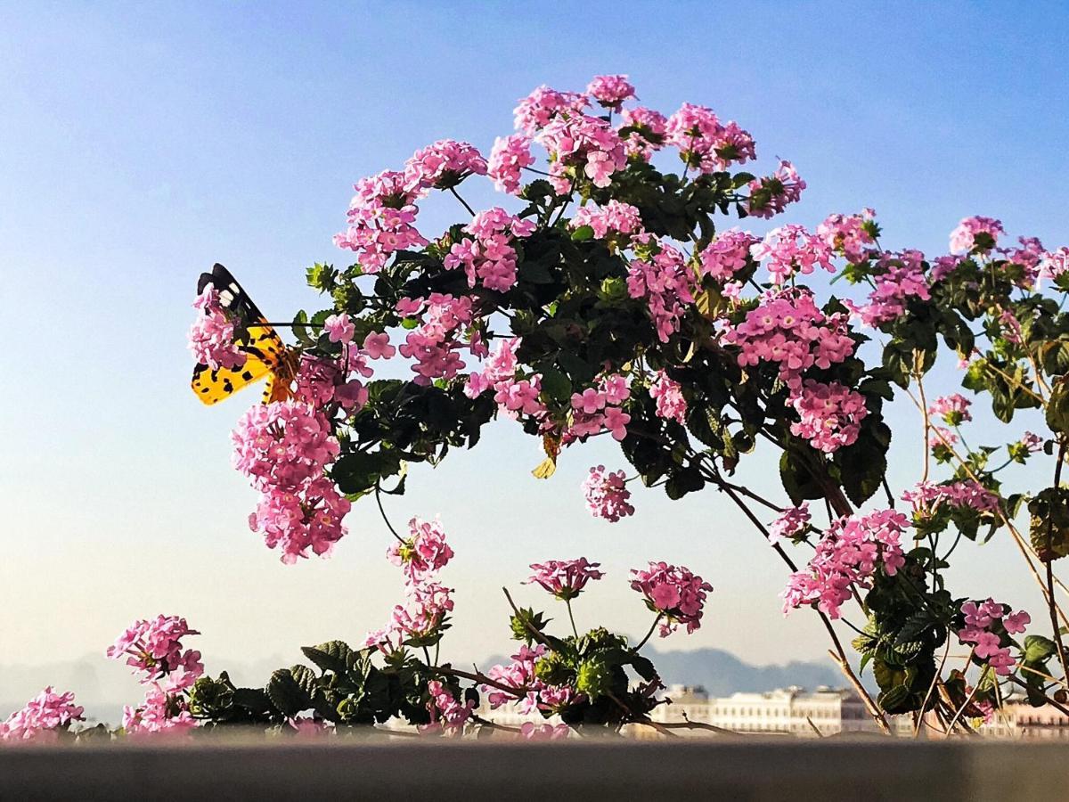 Elysinam Boutique Hotel Ha Long Zewnętrze zdjęcie